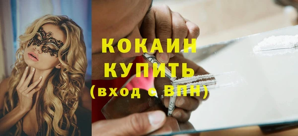 дмт Заводоуковск