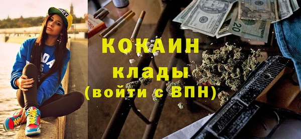 дмт Заводоуковск