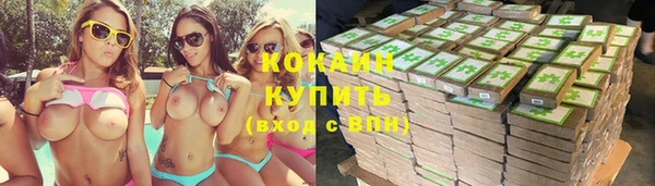 дмт Заводоуковск