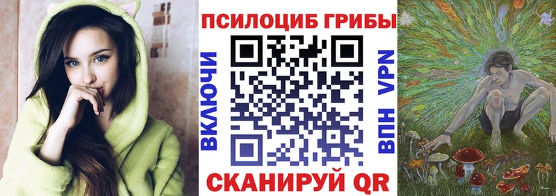 Купить закладки  Ярцево  Псилоцибиновые грибы MAGIC MUSHROOMS 