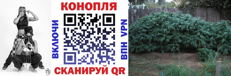 Бошки Шишки ГИДРОПОН Ярцево